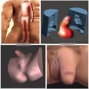 My Real Penis + Mold (Flaccid) + 3d Scanned Naked Body