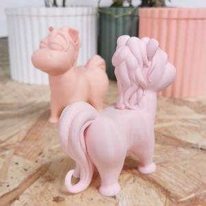 Pony / Horse