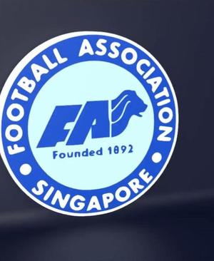 Singapore National Team - LED Strip compatible