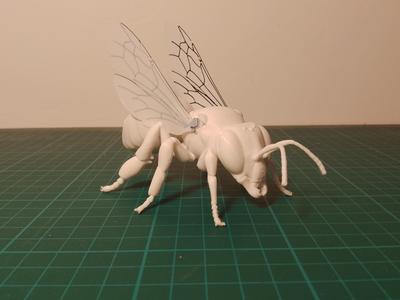Honey Bee Model