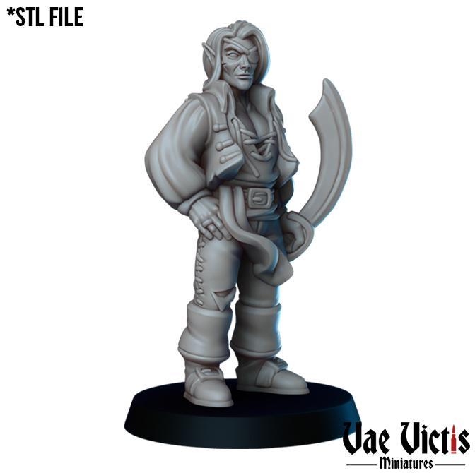 Elf pirate