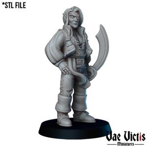 Elf pirate