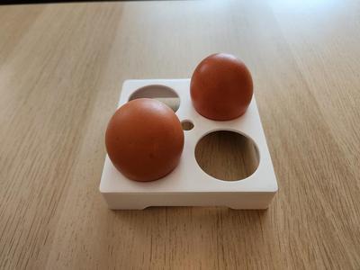 2x2 Egg Holder/Tray