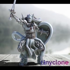 Tiefling Paladin