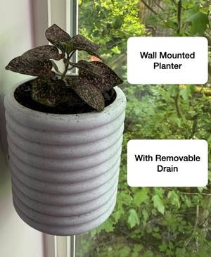 Wall-Mounted Succulent Planter with Screw off Drain Hole