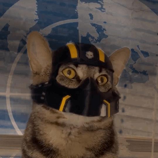 Helldivers Cat Helmet🫡🫡
