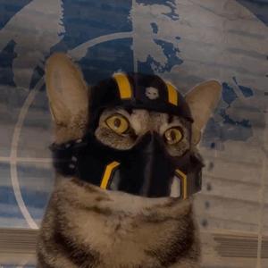 Helldivers Cat Helmet🫡🫡