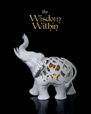 The Wisdom Within