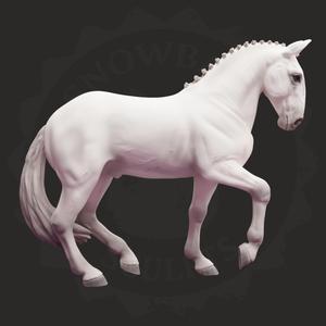 Lusitano Dressage Horse Model