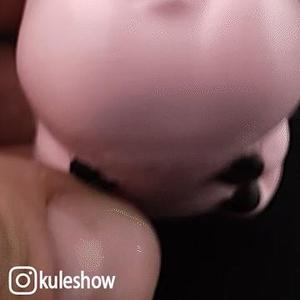 Waddles Needlecase 🧵🪡🐖