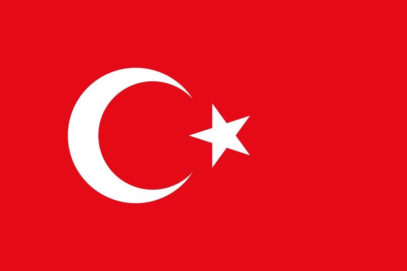 Turkish Flag Keychain   