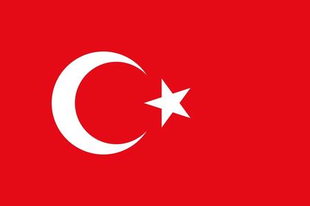 Turkish Flag Keychain   