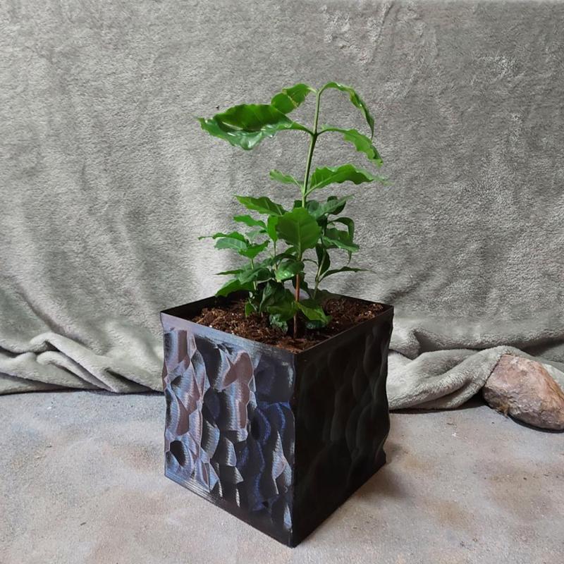 Square Vase Planter - Obsidian Style