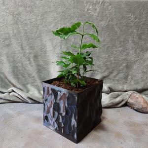 Square Vase Planter - Obsidian Style