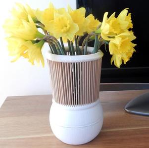 Vase with Wooden Neck