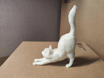 Stretching Cat
