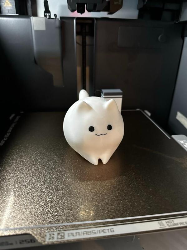 Cute Ghost Cat