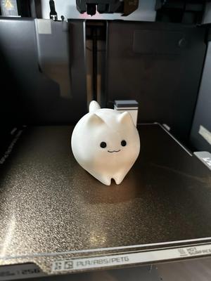 Cute Ghost Cat
