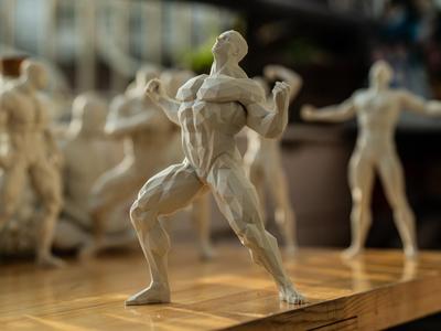 Muscle Man Series 004
