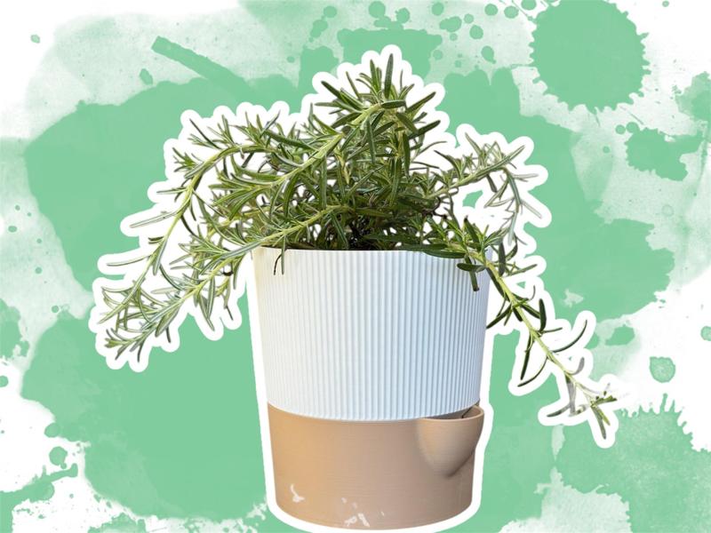 Stylish self-watering planter