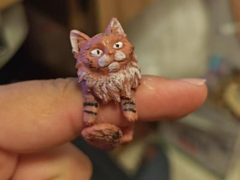 Kitten Ring (only 4g, small gift for street vendors)