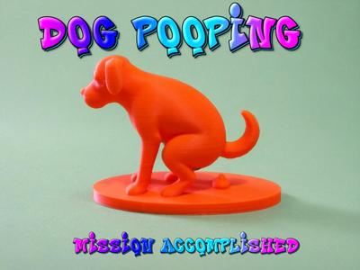 Dog Pooping