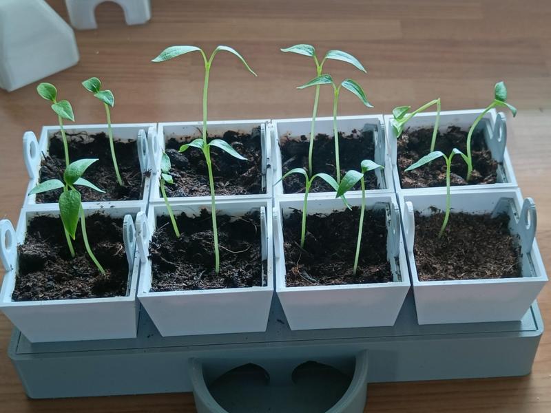 Self-Watering Seed Starter – 8 Cells