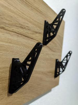 Ultra-Strong Topology Optimized Coat Hook- 50kg