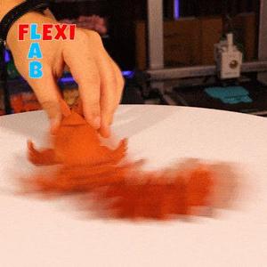 Movable Squirrel Squirrel- Flexi LAB