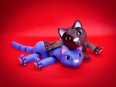  Fabulous Flexi Felines - AKA Flexi Cats