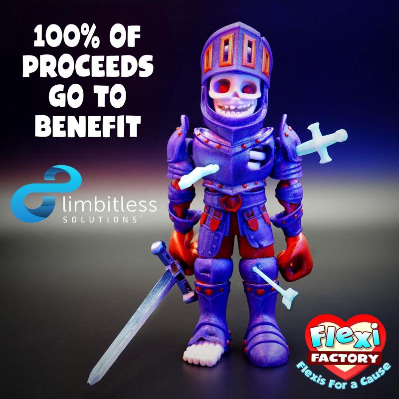 Flexi Factory and Flexis For A Cause: Skeleton Knight