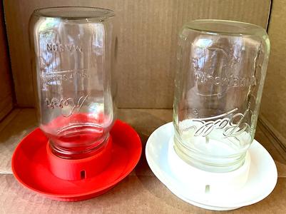 Chick Waterer