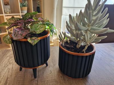 Planter S-XXL 