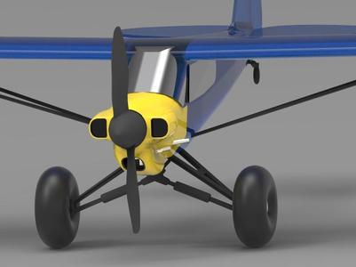 Carbon Cub