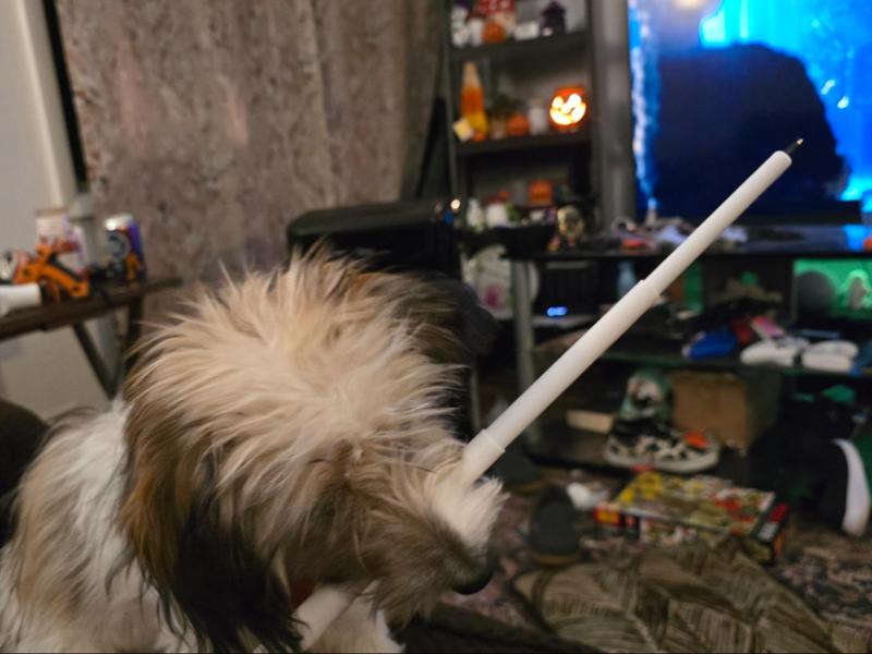 Expandable Bic Pen Sword