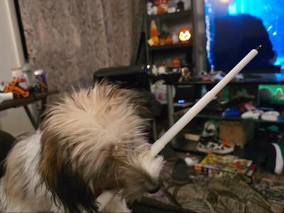 Expandable Bic Pen Sword