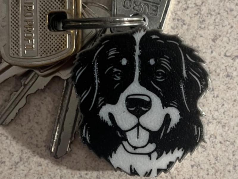 Dog Bernese Mountain Dog keychain