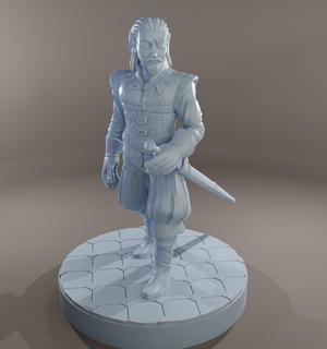 Vincent - Half elf Fencer pose 1