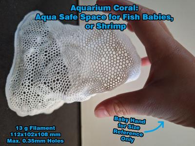 Coral Safe Space for Fish Babies, or baby Shrimp