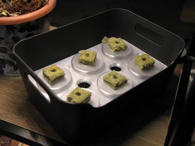 IKEA Uppdatera Grow Box
