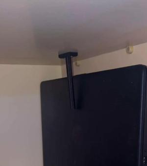 Screw in peg   