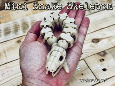 Mini Snake Skeleton