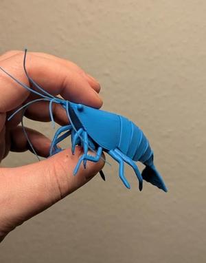 3D Printable Articulated Shrimp Model - Flexi Toy