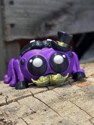 Sophisticated Flexi Jumping Spider