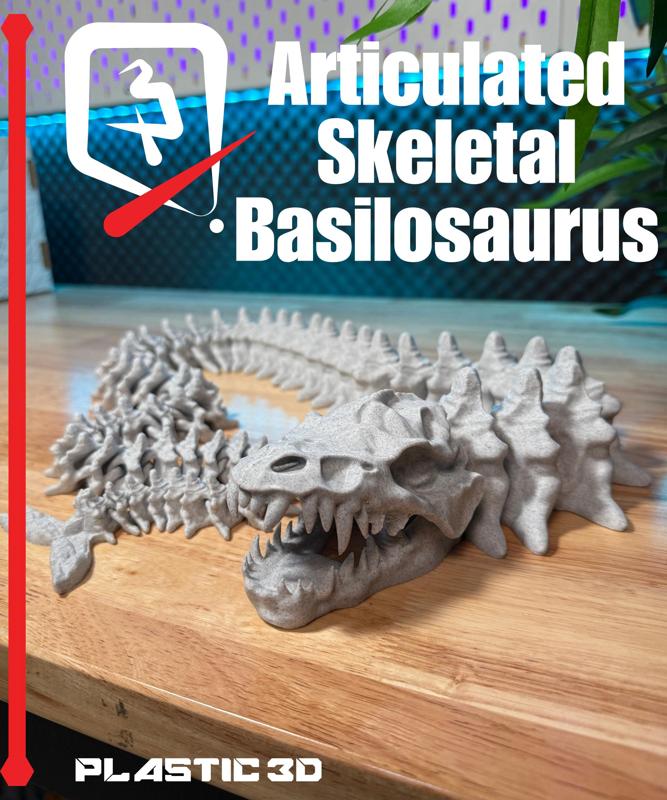 Articulated Skeletal Basilosaurus