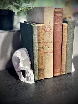 Skull bookends