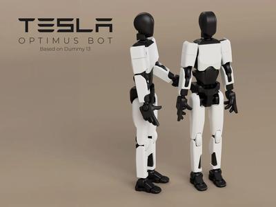 Tesla Optimus Bot 1.0 based on Dummy 13   
