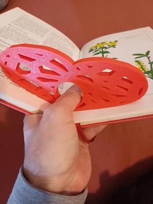 voronoi heart book page holder   