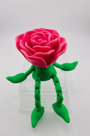 Mr Rose Bud-Dee