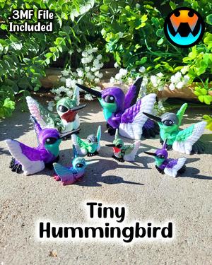 Tiny Hummingbird